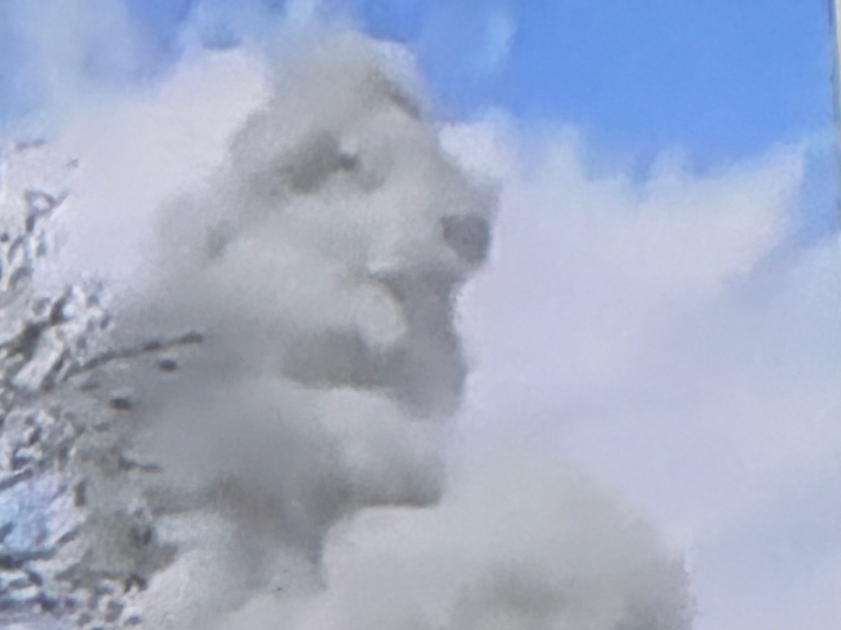 The Face of&nbsp;War