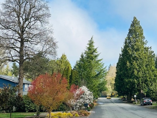 Spring = Spiritual&nbsp;Rebirth